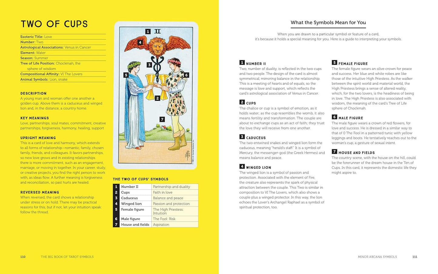 The Big Book of Tarot Symbols: The Beginner’s Guide to Decoding the Cards