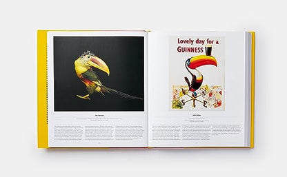 Bird: Exploring the Winged World