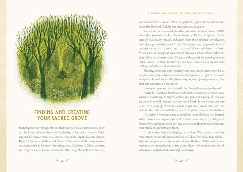 Forest Magic: Rituals and Spells for Green Witchcraft