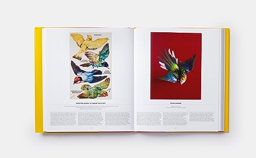 Bird: Exploring the Winged World