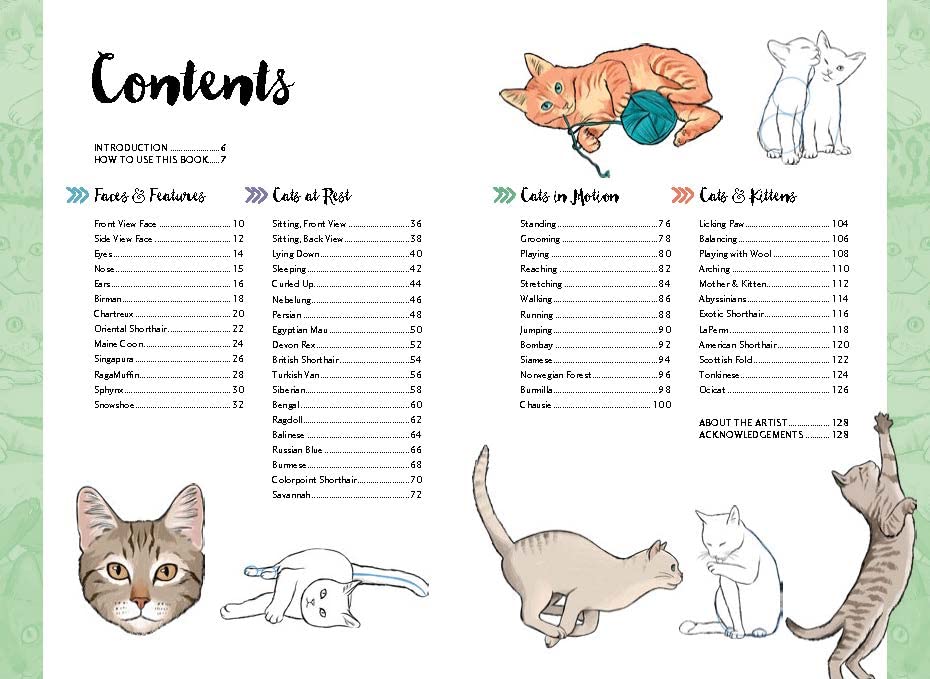 10 Step Drawing: Cats: Draw over 50 fabulous felines in 10 easy steps